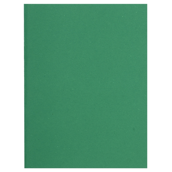 Afbeelding van FLASH 80 - Pak van 100 inlegmappen- 100%gerecycleerd- 22x31cm-Groen