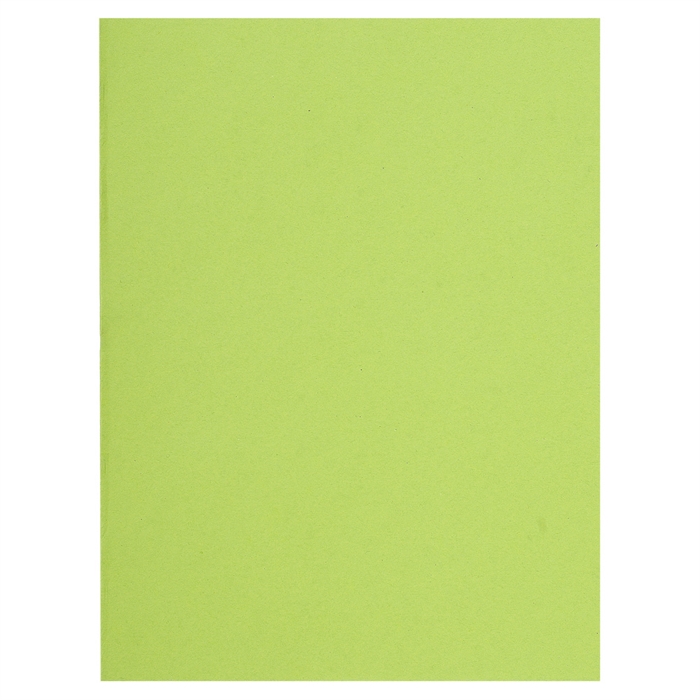 Afbeelding van FLASH 80 - Pak van 100 inlegmappen- 100%gerecycleerd- 22x31cm-Lindengroen