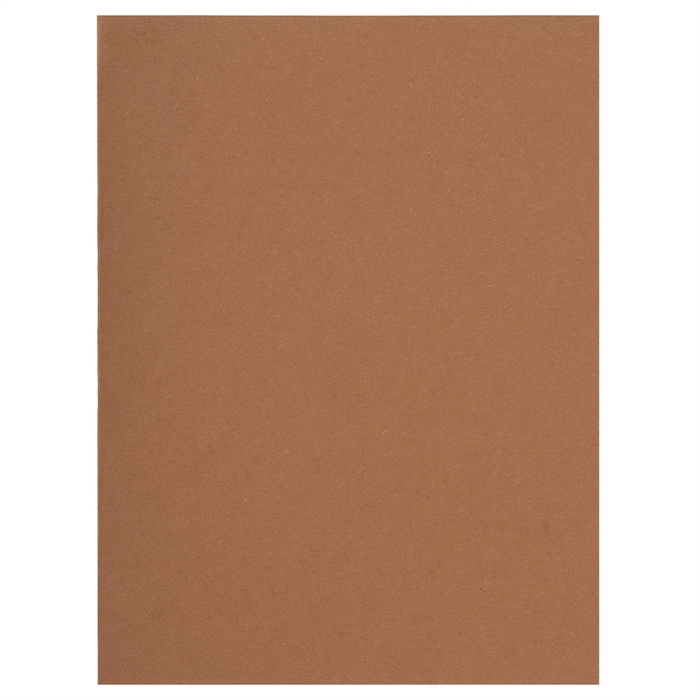 Afbeelding van FLASH 80 - Pak van 100 inlegmappen- 100%gerecycleerd- 22x31cm-Chocoladebruin