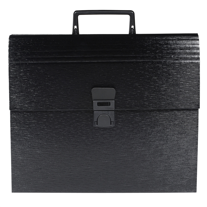 Picture of Family expanding multipart file with handle - 12 compartments-Black