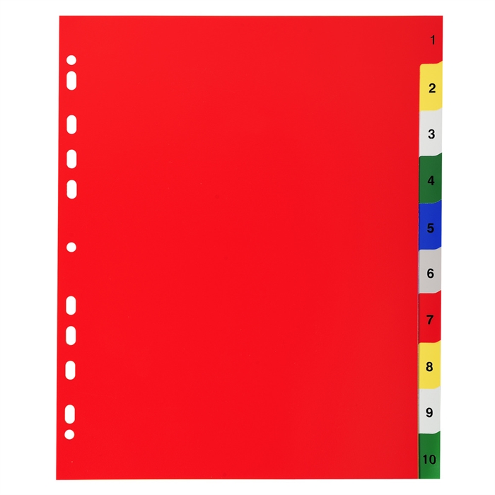 Picture of RINGBINDER PP 4RING 40MM-Assorted vivid colours