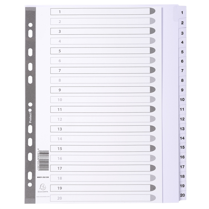 Picture of White mylar dividers printed 1-20-White