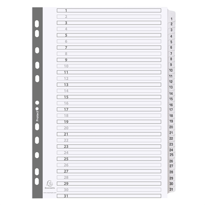 Picture of A4 mylar dividers printed 1-31-White