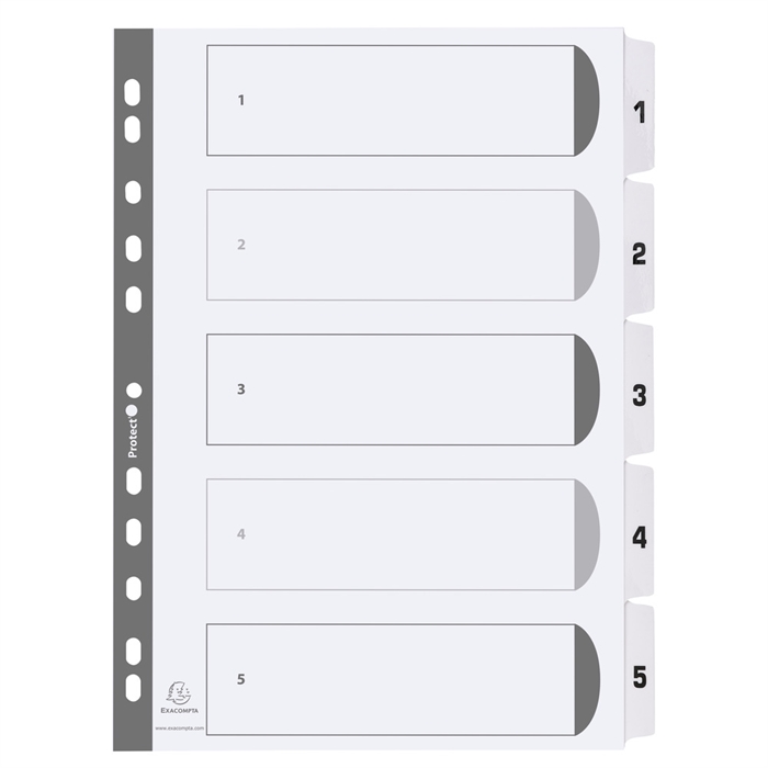 Picture of White mylar dividers printed 1-5-White