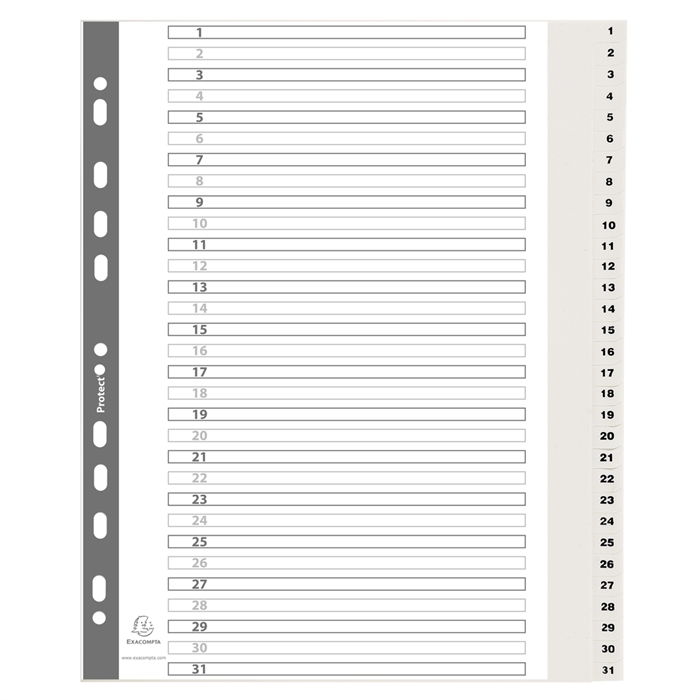 Picture of Printed dividers 31 parts 1 to 31 - white PP. White