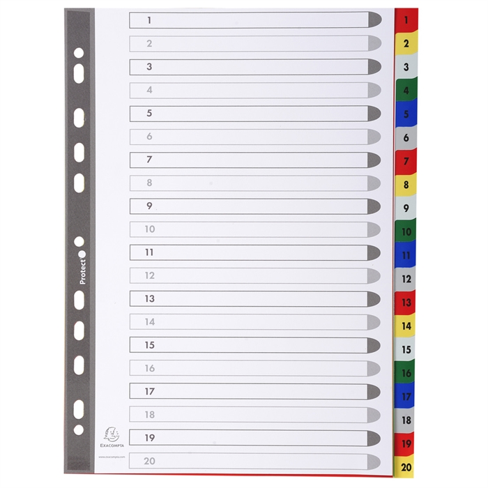 Picture of Printed indexes with 20 parts. 1.2mm polypropylene - A4 