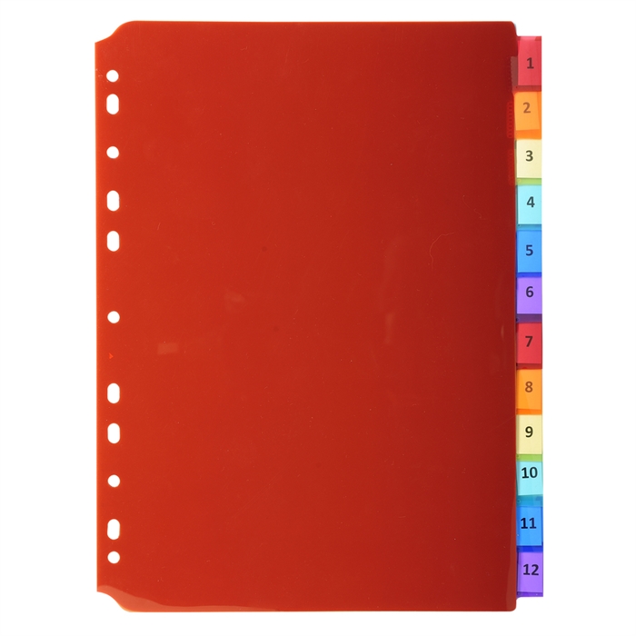 Picture of Coloured transparent PP dividers with label holder A4 - 12 parts 