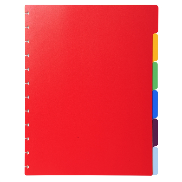 Picture of Polypropylene 6 part coloured dividers for removable display book. 