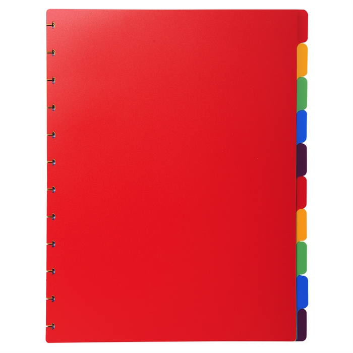 Picture of Coloured polypropylene dividers 10 part for removable display book. 