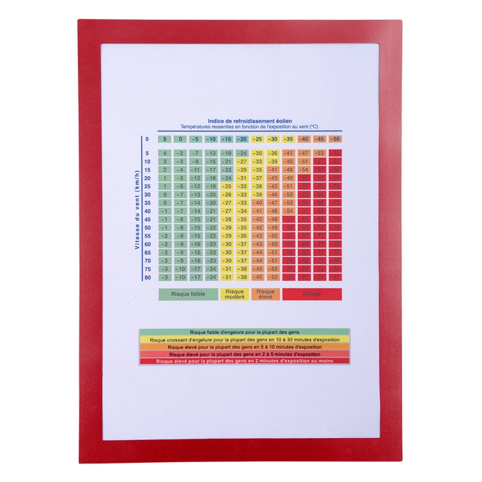 Afbeelding van EXACOMPTA 39203E - Magnetische muurlijst A4