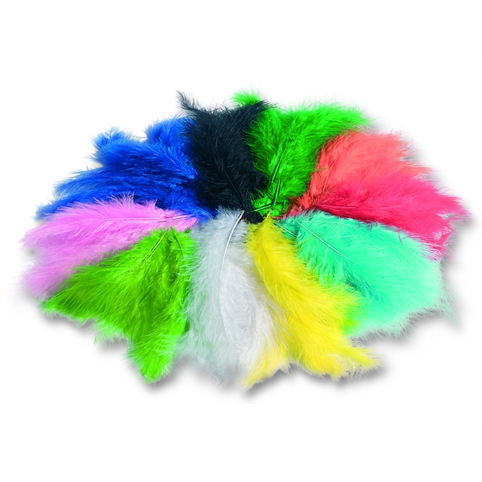 Image de Plumes Folia 10-20cm couleurs assorties cello de 100        grammes