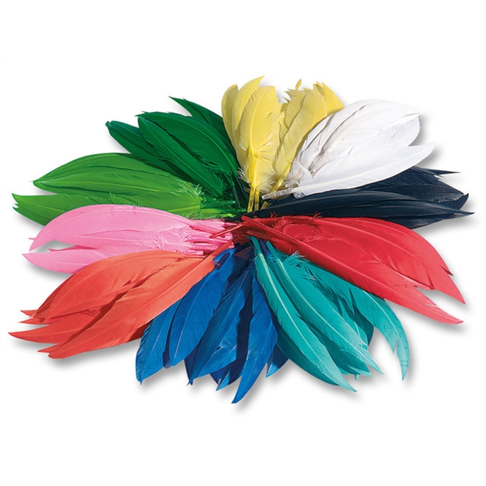 Image de Plumes d'indiens Folia 10-20cm, couleurs assorties cello de 100 grammes