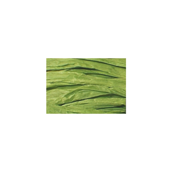 Image de Raphia pelote Folia 50 gr. vert