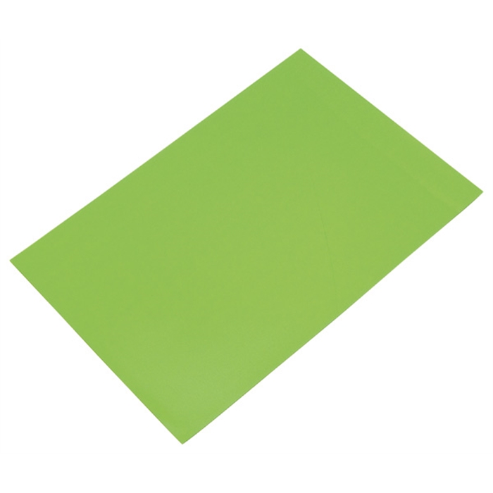 Picture of Magnetic Sheets Coloured. Size (W x H): 29.5 x 20 cm, light green. 