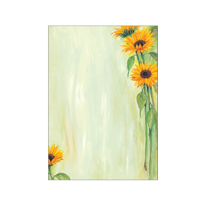 Image de Papier design A4 90g tournesol 25 flles.