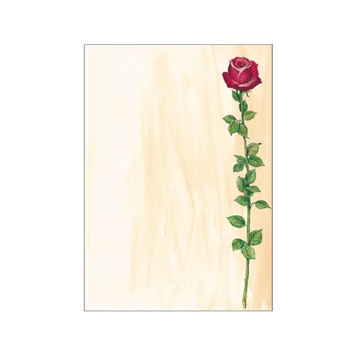 Afbeelding van designpapier Sigel A4 90grs pak a 25 vel Rose Bloom