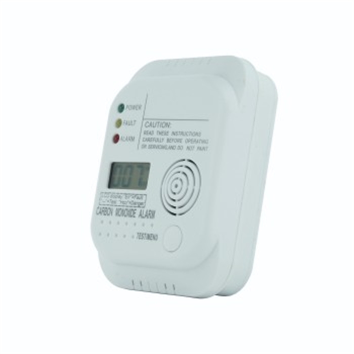 Picture of CO-Detector, with Display